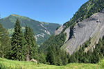 weisstannen2019